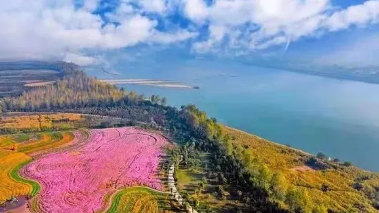 荊州星島生態觀光農業園