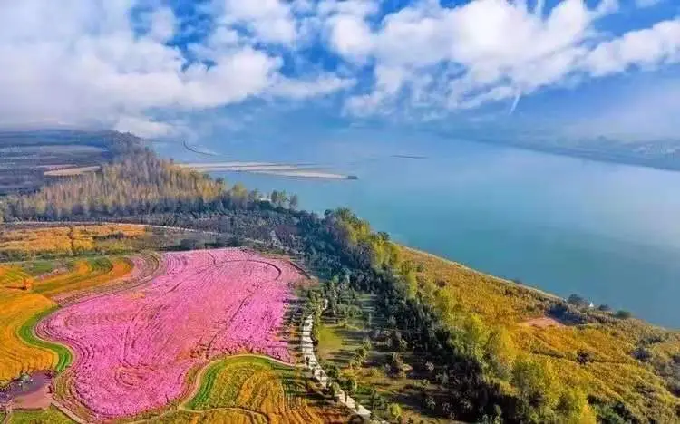 荊州星島生態觀光農業園