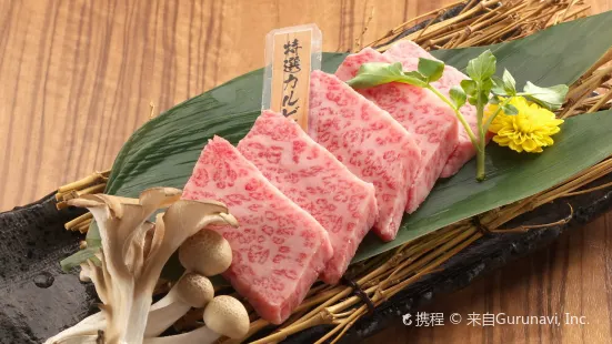 Wagyu-no Sato Romantei