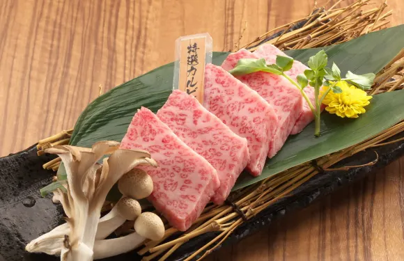 Wagyu-no Sato Romantei