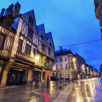 Pet Friendly Hotels in Dijon