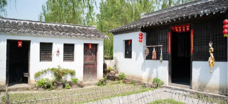 Shell Properties in Taixing