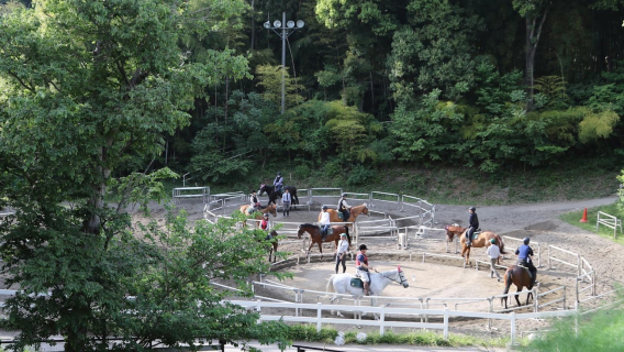 Horse Riding Club Crane Chiba