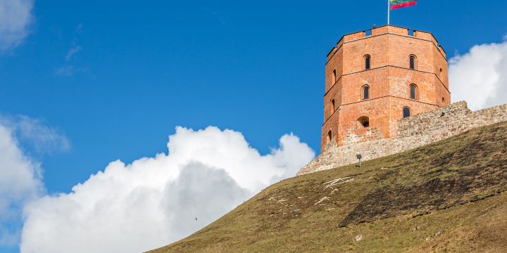 Gediminas Castle