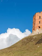 Gediminas Castle Tower