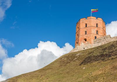 Gediminas Tower & Upper Castle Museum