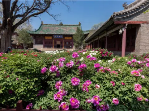 พิพิธภัณฑ์วัดจิน