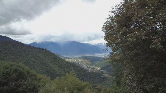 鲁朗林海一个适合发呆的好地方，人少景美，静谧舒适，自然风景与