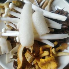 抚海湾石锅鱼·野生菌·猪肚包鸡(三十六年店) User Photo