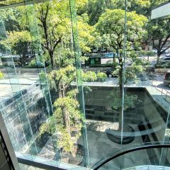 Café @ 2 All Day Dining Restaurant @ Hilton Guangzhou Tianhe User Photo