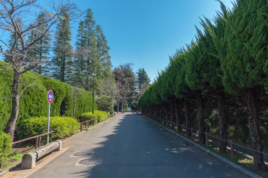 Setagaya Park