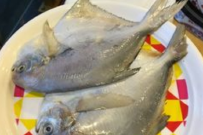 Xiaomianyang Hot Pot (xinhualu)