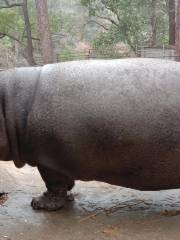 吉安動物園