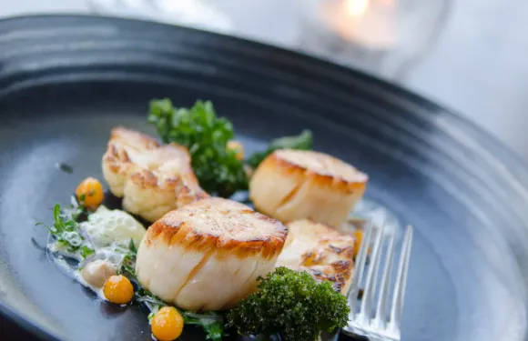 The Fig Tree Restaurant