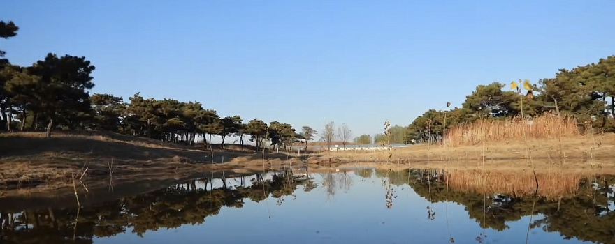 Xiping Forest Park