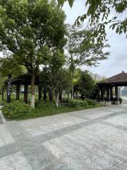 Tiyu Park