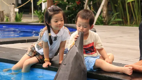 Bali Exotic Marine Park attraction in Bali