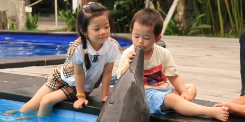 峇里島異國海洋公園