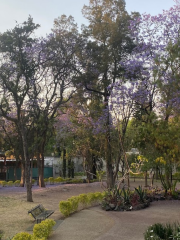 Parque Juana de Asbaje