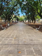 Plaza Pineral