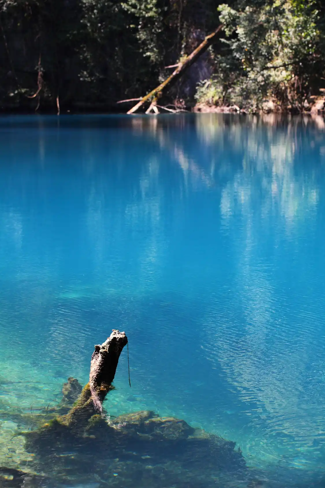 Các khách sạn gần Shuichunhe Scenic Area