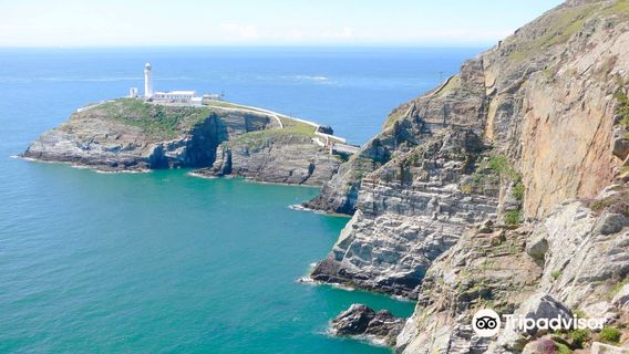 RSPB Cymru Ynys Lawd