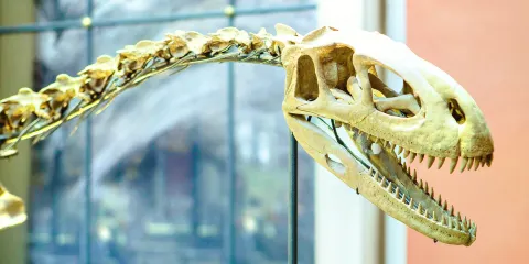 地球科學博物館