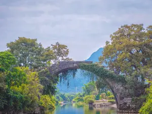 Jin Long Qiao