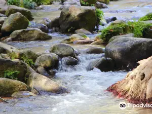 Nahal Snir Nature Preserve