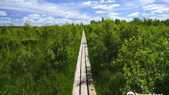 Greater Mosse National Park
