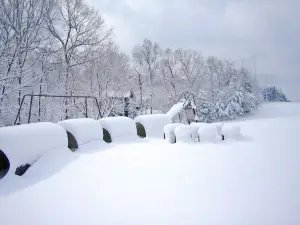 Hawksnest Snow Tubing