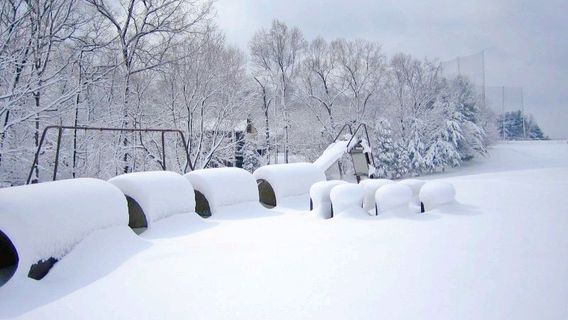 Hawksnest Adventures