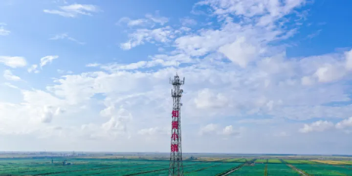 黄河口知青小镇