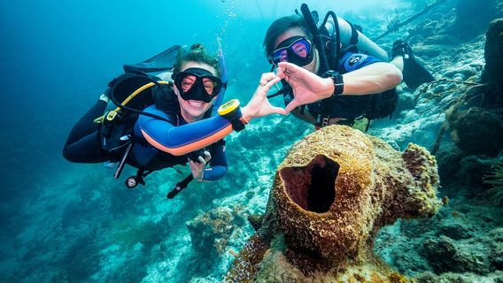 Scuba Diving in Koh Larn