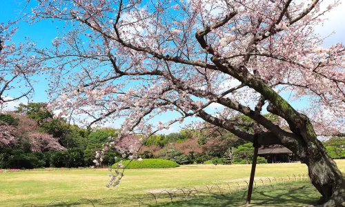 Okayama Korakuen Garden