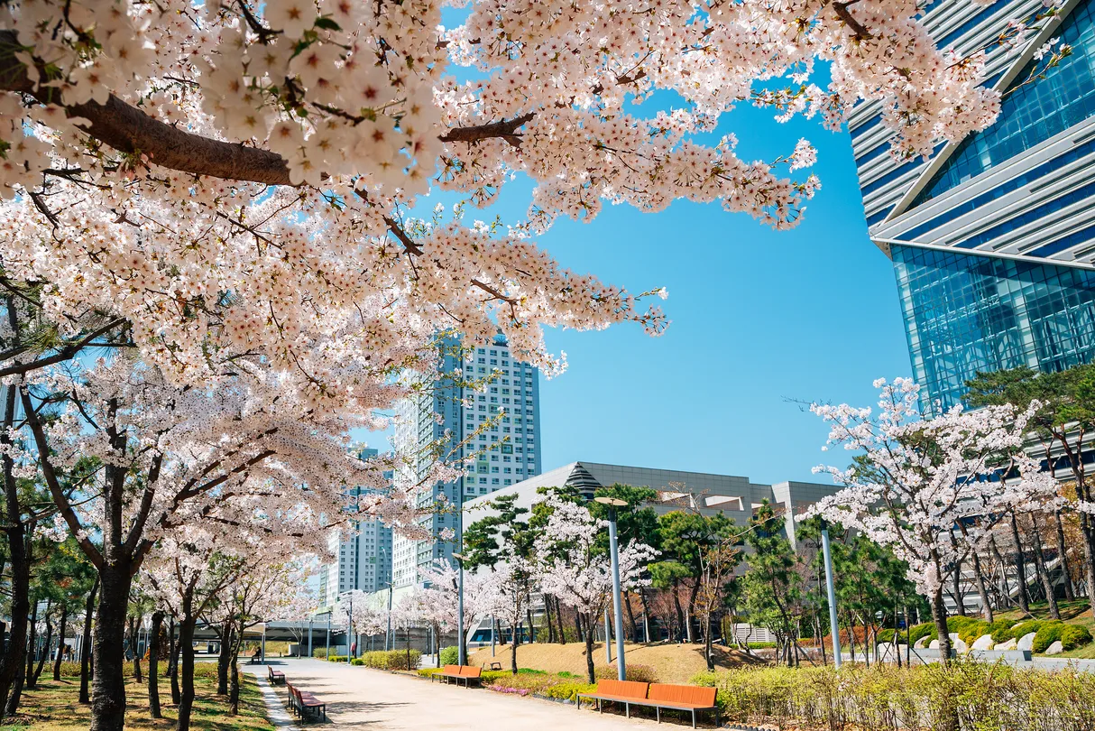 5_Songdo Central Park