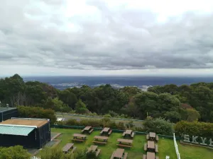 단데농 산