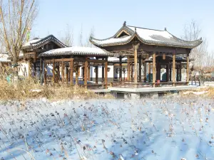 Cangzhou Garden Expo Park