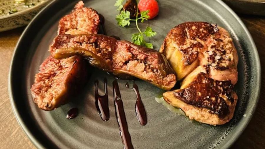 Il etait une Oie dans le Sud Ouest