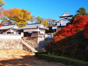 Popular Fall Viewing Attractions in Ehime Prefecture