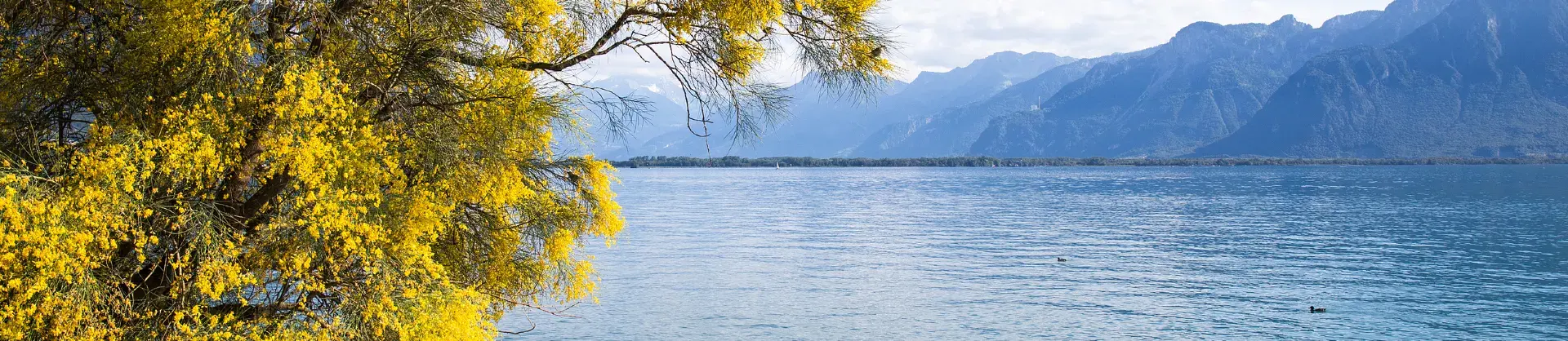 Paysages d’automne