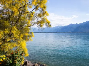 Lago Lemano