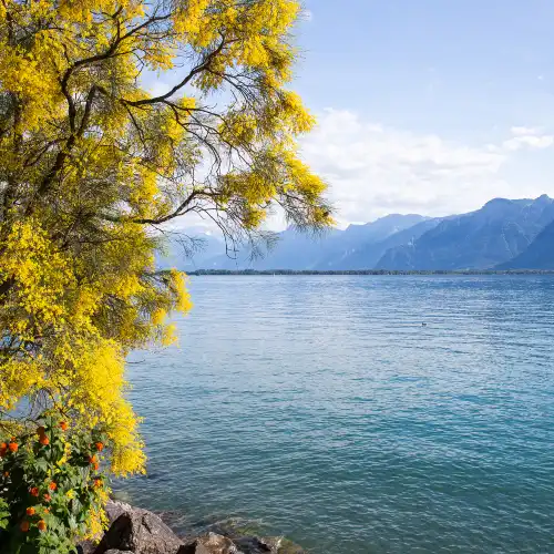 Paysages d’automne populaires à Genève