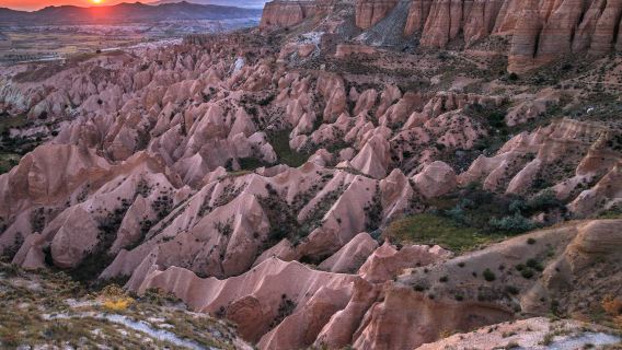 Rose Valley