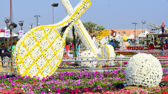 Sabarmati Riverfront Flower Park