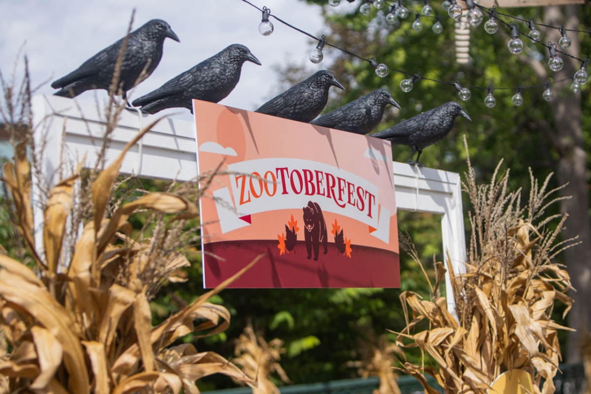 Zootoberfest | St. Louis