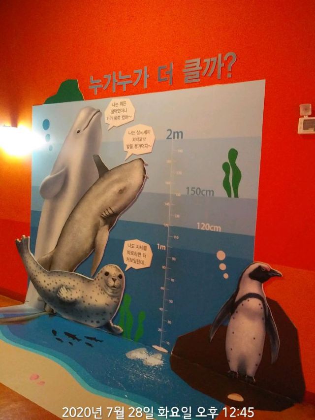 아쿠아플라넷 여수