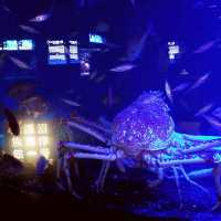 【沼津】沼津港深海魚水族館