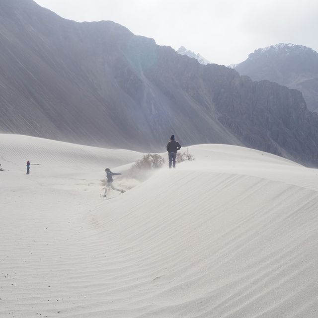 ขี่อูฐบนทะเลทราย@Leh Ladakn