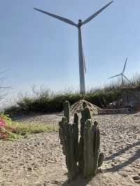 Bangui Wind Farm